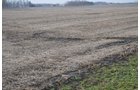 Property photo 48 - 98+/- Acres Offered in 6 Tracts or Combinations, Noble County, Indiana Farm
